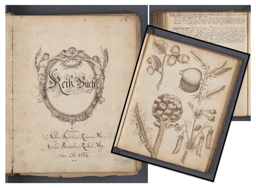 Reiß-Buch von Nicolaus Bacmeister (1664)