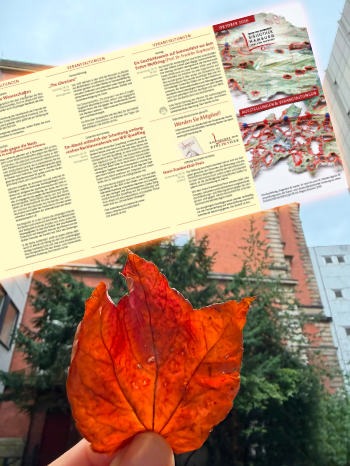Veranstaltungsflyer Oktober 2026